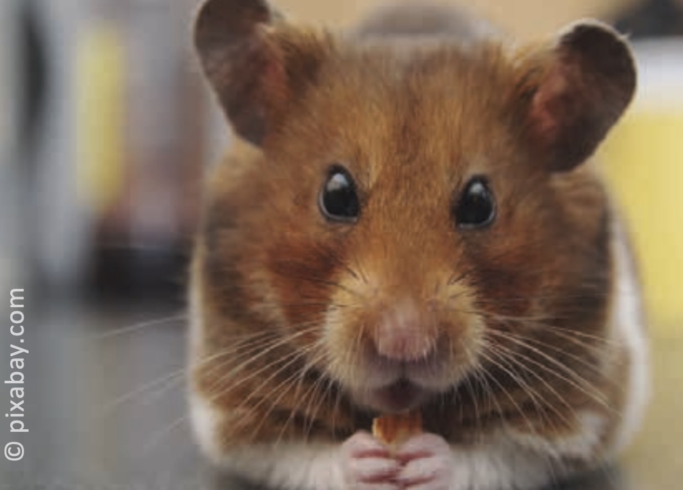 Tierärztezenrum Teisendorf - News August23