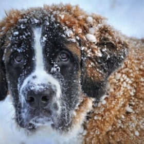 Gut durch den Winter kommen